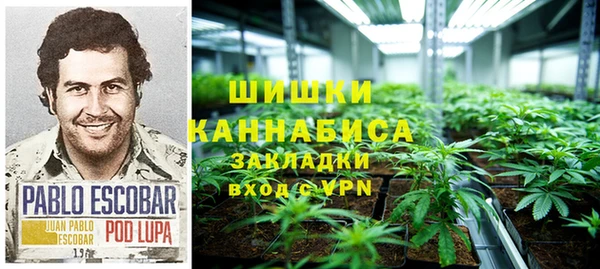 дмт Бородино