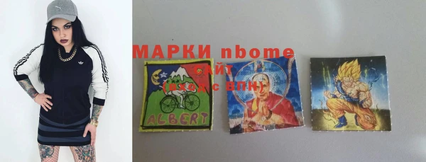 дмт Бородино
