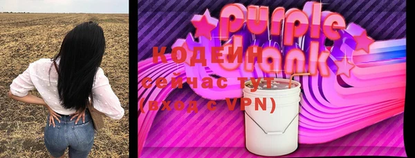дмт Бородино