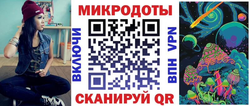 магазин продажи наркотиков  Нерюнгри  Псилоцибиновые грибы Cubensis 