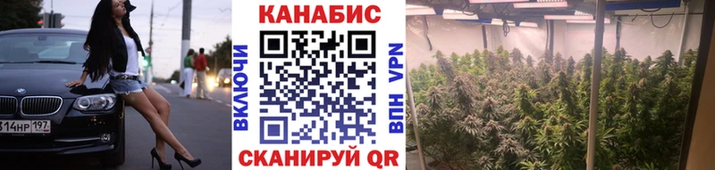 Конопля индика  Нерюнгри 