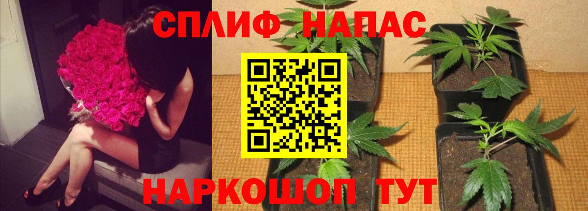 Марихуана THC 21%  Марихуана ГИДРОПОН  Вход с VPN  Бошки марихуана индика  Нерюнгри  Канабис планчик 